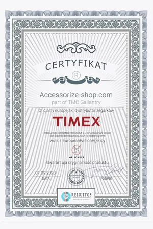 Timex Zegarek BTQ602052. STRAP, Kolor . Unisex.