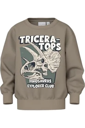 NAME IT Nmmvildar Ls Nreg Sweat Bru bluza chłopięca, , 98