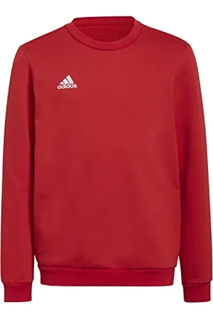 adidas Uniseks - dzieci Entrada 22 Sweat Top, , 11-12 Years