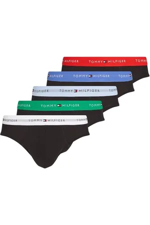 Tommy Hilfiger Męskie 5P BRIEF WB UM0UM03386, Biały, L, Biały (Irs Blu/Wht/P Gr/Fr Red/Vsl Bl), L