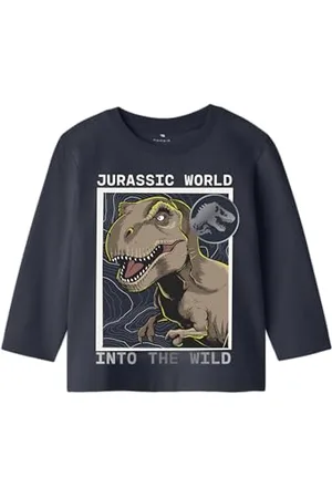 NAME IT Nmmfynn Jurassic Nreg Ls Top Box Sky dla chłopców, , 110