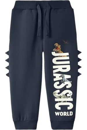 NAME IT Nmmfor Jurassic Nreg SWE Pants Unb Sky spodnie chłopięce, , 104
