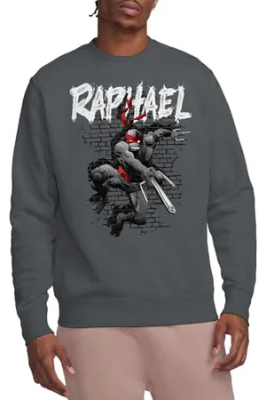 Teenage Mutant Ninja Turtles Bluza Tmnt Tmnt Raphael Crew, grafitowa, S, , S