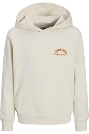JACK & JONES Jorparos Type Sweat Hood Back Jnr, , 176