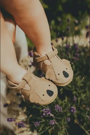 Donsje Buty skórzane niemowlęce Spark Classic Shoes Koala kolor 1002007