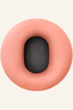 Dyson Ontrac™