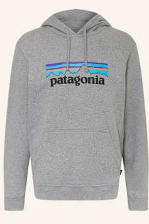 Patagonia Bluza Z Kapturem P-6 grau