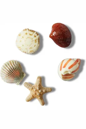 Crocs Zestaw 5 przypinek Jibbitz™ She Sells Seashells 5-Pack 10014671 (CR363-a)