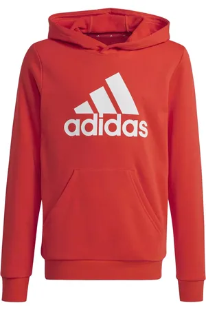 adidas Adidas Big Logo Jr Hoodie IX9531