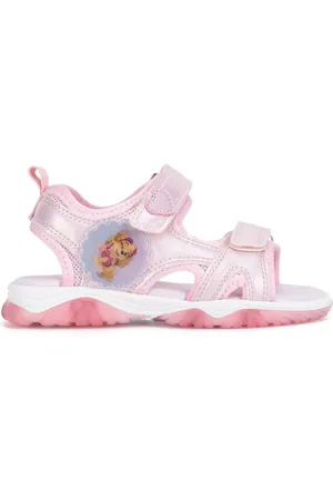 Paw Patrol CP66-SS24-184