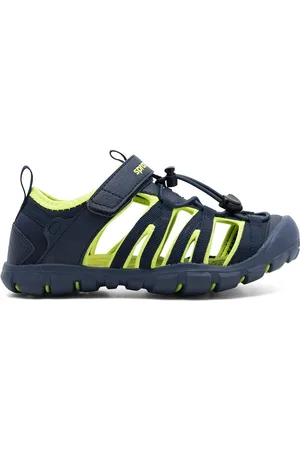 Sprandi CP82-22462