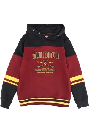 Harry Potter Bluza z kapturem Gaming z Gryffindor