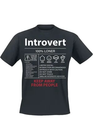 Sprüche T-Shirt Fun z Introvert