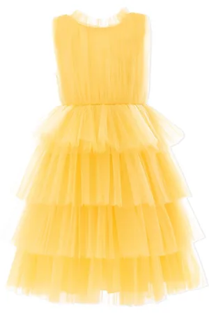 Tulleen Tiered tulle dress