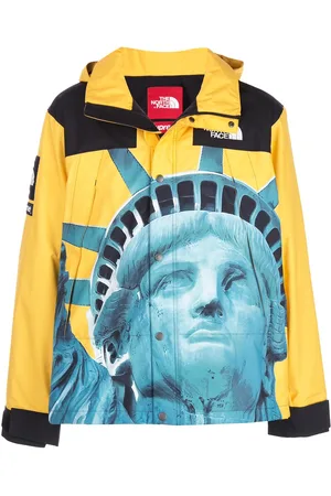 Supreme X The North Face Mountain jacket