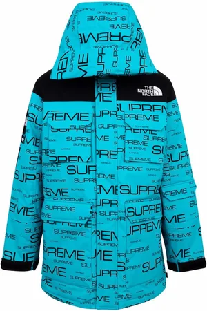 Supreme X The North Face Coldworks 700-fill down coat