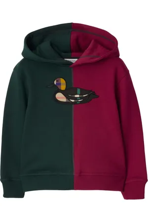 Burberry Colourblock hoodie