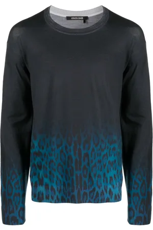 Roberto Cavalli Jaguar Degrade print wool jumper