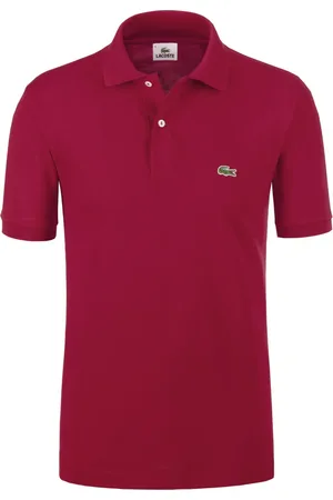 Lacoste Duże Rozmiary - - Koszulka polo w 100% z piki bawełnianej