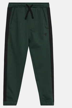 4F Spodnie dresowe JWAW24TTROM759 Regular Fit