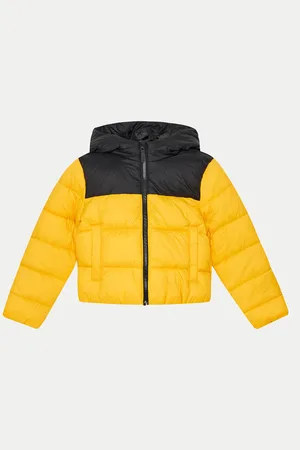 4F Kurtka zimowa JWAW24TDJAM462 Regular Fit