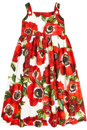 Dolce & Gabbana Floral cotton poplin dress
