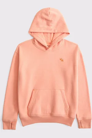 Abercrombie & Fitch Essential Icon Logo Hoodie11