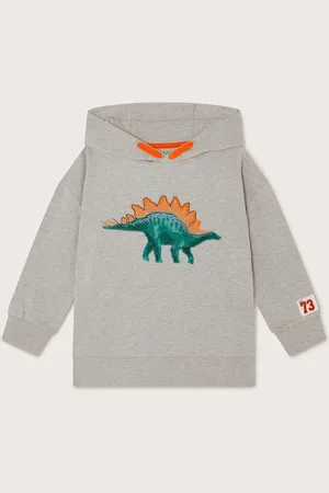 Monsoon Dinosaur Print Hoodie5