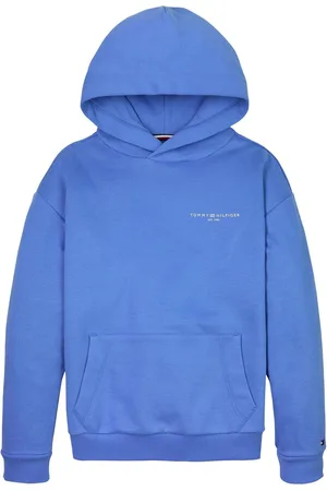 Tommy Hilfiger Unisex Hoodie With Mini Logo7 lat (122 cm)