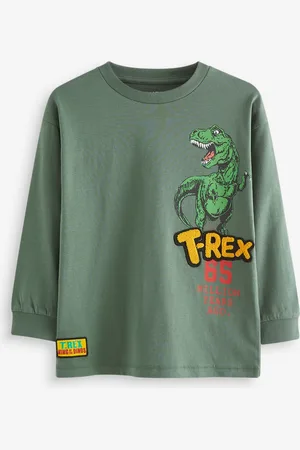 Next Long Sleeve Graphic 100% Cotton T-Shirt (3-16yrs)11 lat (146 cm)