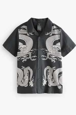 Next Short Sleeve Printed Shirt (3-16yrs)5 lat (110 cm)
