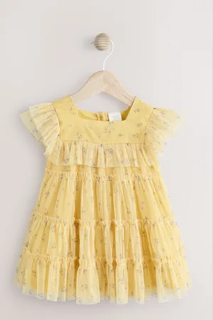 Next Mesh Baby Dress (0mths-2yrs)10