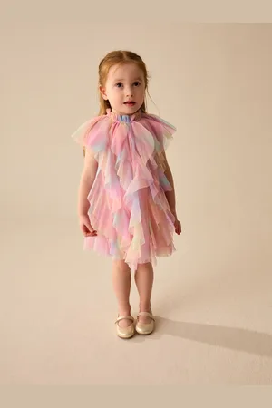 Next Sleeveless Mesh Party Dress (3mths-7yrs)104110 cm