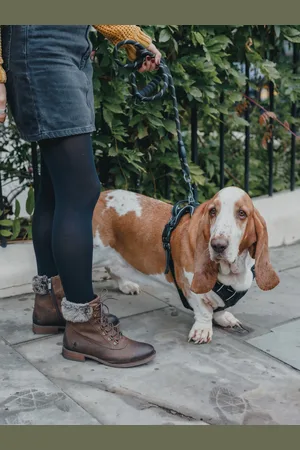 Hush Puppies Effie Bootseu42