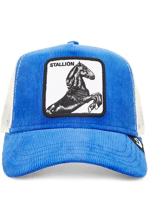 Goorin Bros. Sly Stallion Hat
