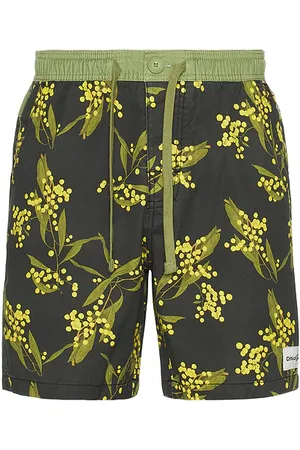 Critical Slide Acarcia 17 Swim Trunk