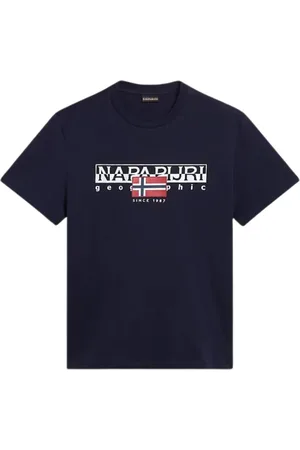 Napapijri Koszulki, Mężczyzna, Niebieski, S, Niebieski T-shirt Aylmer z krótkim rękawem