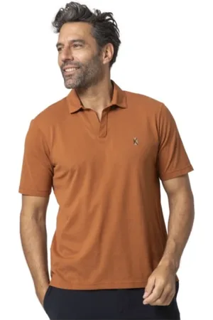 Gran Sasso Koszulki, Mężczyzna, brązowy, L, Terracotta Polo z Kołnierzem Skipper