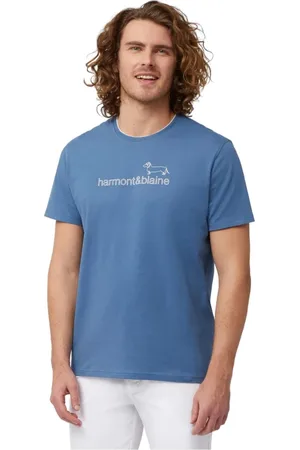 HARMONT&BLAINE Koszulki, Mężczyzna, Niebieski, XL, T-Shirts