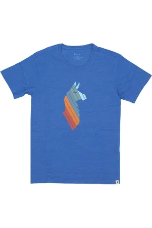COTOPAXI Koszulki, Mężczyzna, Niebieski, M, Llama Stripes Tee