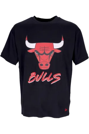 New Era Koszulki, Mężczyzna, Niebieski, S, Chicago Bulls Script Mesh Tee