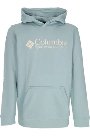 Columbia Bluzy, Mężczyzna, Niebieski, S, Basic Logo Hoodie Stone
