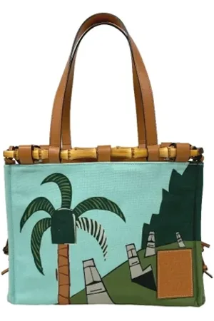 Loewe Pre-owned, Kobieta, Wielobarwność, ONE SIZE, Skóra, Pre-owned Canvas handbags