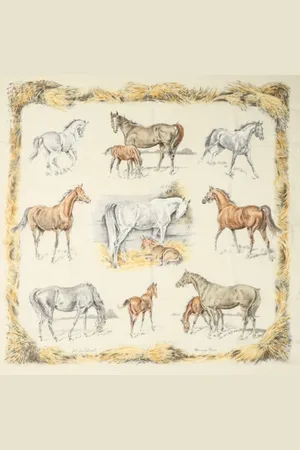 Hermès Pre-owned, Kobieta, Wielobarwność, ONE SIZE, Kaszmir, Pre-owned Cashmere scarves