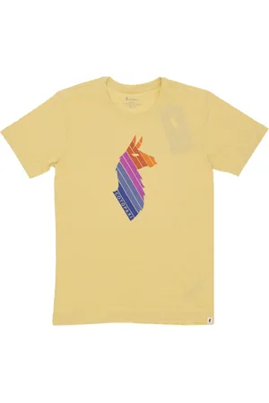 COTOPAXI Koszulki, Mężczyzna, Żółty, XL, Lama Paski Tee Krótki Rękaw T-shirt