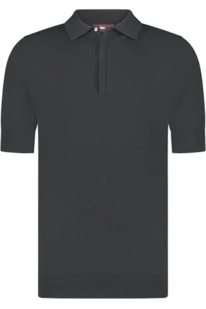 Aeden Koszulki, Mężczyzna, Szary, S, Sweter polo w Vetiver