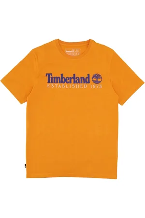 Timberland Koszulki, Mężczyzna, Pomarańczowy, S, Bawełna, Koszulka Vintage Logo
