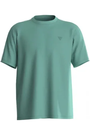 Guess Koszulki, Mężczyzna, Zielony, M, Bawełna, Hedley SS T-Shirt
