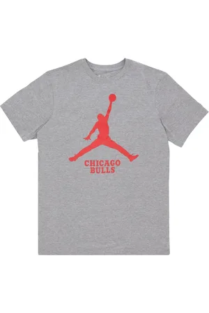 Jordan Koszulki, Mężczyzna, Szary, M, Bawełna, Koszulka Chicago Bulls Tee Essential