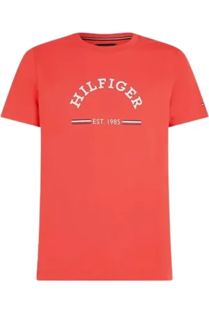 Tommy Hilfiger Koszulki, Mężczyzna, Czerwony, S, Bawełna, RWB Arch Graphic Tee